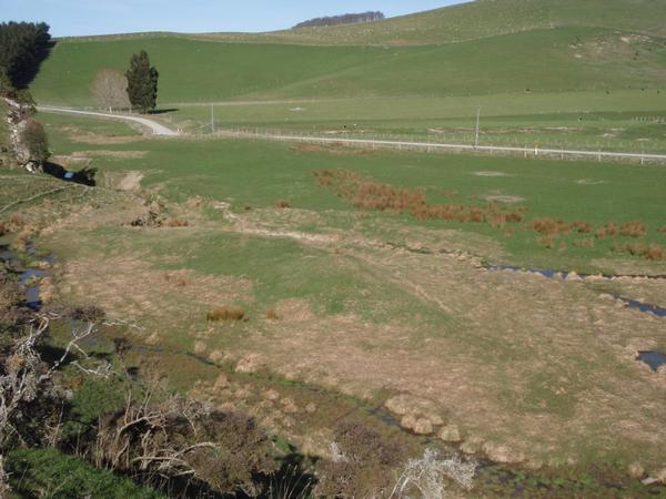 Site 2 and culvert area.